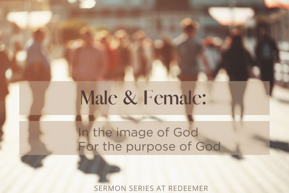 Male & Female: In the image of God for the purpose of God